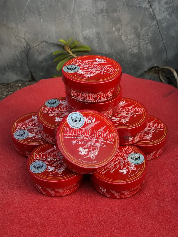 KAMLANG BASAH ayam aduan RED BN ayam siap tarung adu bagus untuk pemulihan obat luka dalam sakit kuning pucat anemia - Gambar 4