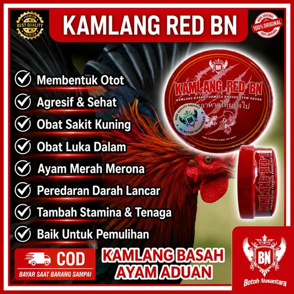 KAMLANG BASAH ayam aduan RED BN ayam siap tarung adu bagus untuk pemulihan obat luka dalam sakit kuning pucat anemia - Gambar 2