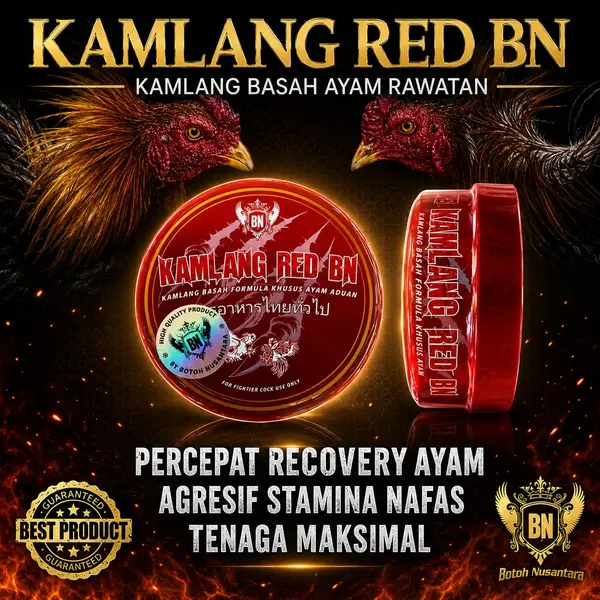 KAMLANG BASAH ayam aduan RED BN ayam siap tarung adu bagus untuk pemulihan obat luka dalam sakit kuning pucat anemia - Gambar 3